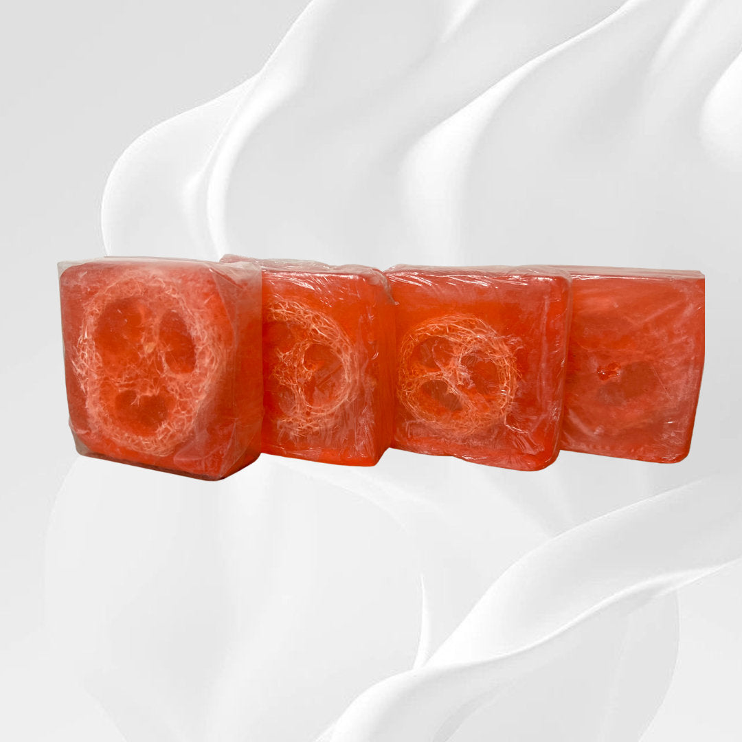 Savon Luffa Gommage 2-en-1 | Luffa Scrub Soap